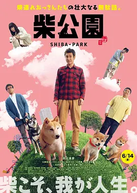 我爱你，妻子